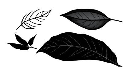 Obraz premium leaves and flowers silhouettes isolated with cartoon vector illustration on transparent background