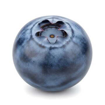 Close-up macro of a single fresh ripe blueberry with natural bloom, a healthy superfood fruit isolated on a white background