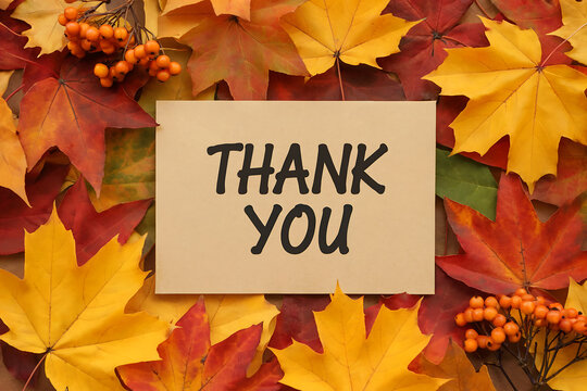 Thank You card on a bed of colorful autumn maple leaves and berries message fall