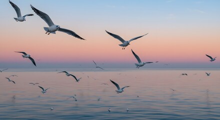 Fototapeta premium Seagulls flying over the sea at sunset