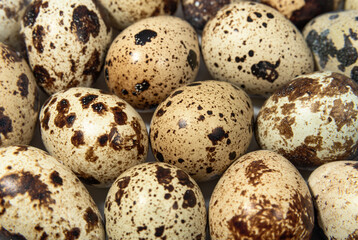 Raw quail eggs close up