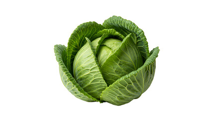 Obraz premium Vibrant Green Cabbage Heart Nestled in Fresh, Textured Leaves