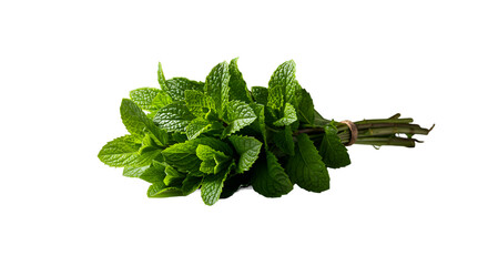 Vibrant Peppermint Bundle Resting on a Smooth Green Background © mastyo