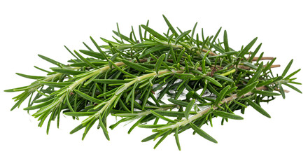 Vibrant, Aromatic Rosemary Sprigs Piled on a Fresh Green Background