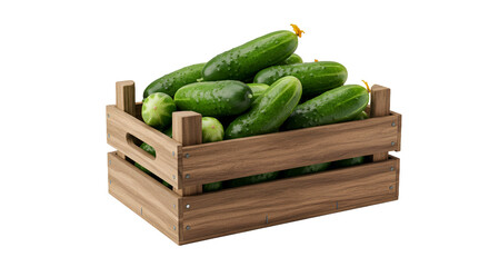 fresh cucumbers in a basket