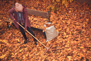 Woman cleaning garden from fallen autumn leaves.