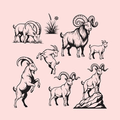 Detailed Goat and Ram Illustrations Set - Various Poses