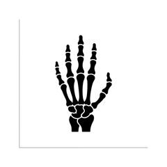 Human hand skeleton with transparent background