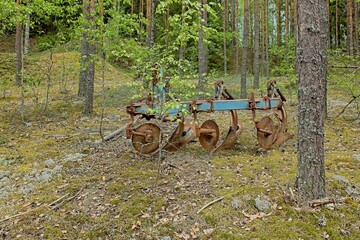 Abandoned rusty old farm plough in spring forest, Muurikkala, Finland.