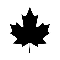 Maple leaf silhouette with transparent background