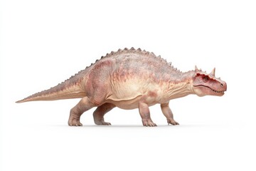Naklejka premium Realistic dinosaur representation of sceli for educational and design use