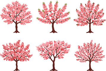 Naklejka premium Cherry blossom trees with pink flowers and green leaves, stylized spring botanical vector illustration for nature, garden, seasonal and floral themes