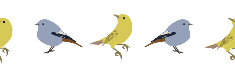 Bird con border. Bird feather silhouette symbol. Bird border isolated on a white background