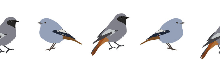 Fototapeta premium Bird con border. Bird feather silhouette symbol. Bird border isolated on a white background