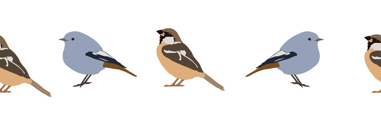 Bird con border. Bird feather silhouette symbol. Bird border isolated on a white background