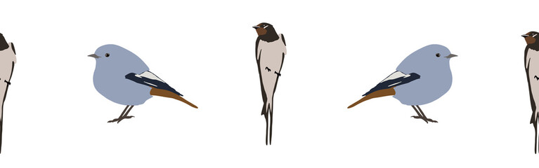 Obraz premium Bird con border. Bird feather silhouette symbol. Bird border isolated on a white background