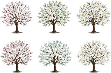 Six Seasonal Blooming Trees Vector Set with Pink, White, and Green Blossoms for Nature, Spring, Botanical, and Landscape Design