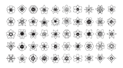 Collection of intricate floral and geometric mandala designs silhouette