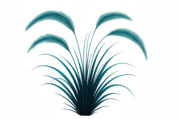 Teal ornamental grass featuring delicate feathery plumes, isolated on a transparent background, perfect for design projects