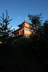 Fototapeta premium Nature, fog, environment, tibet, beauty, plant, quiet. 