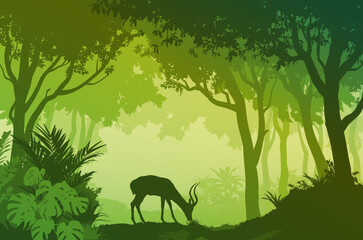 Antelope in tropical forest, landscape, vector illustration	