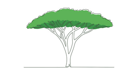 Stylized line drawing depicting an acacia tree with vibrant green foliage