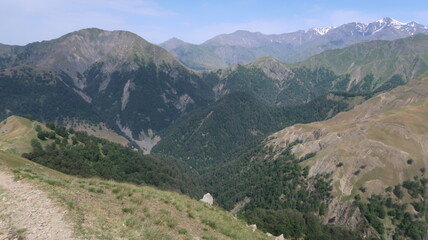 mountain landscape in summer