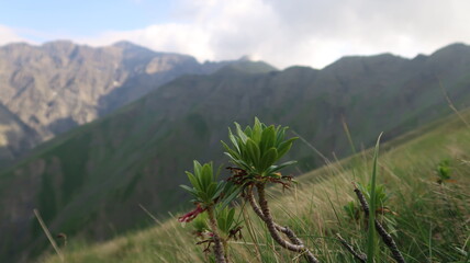 mountain landscape in the mountains