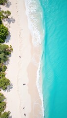 Aerial view of sandy beach with clear turquoise water and trees  