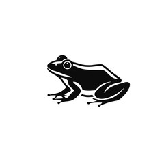 Obraz premium Frog vector. Cute animal