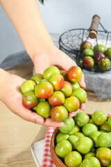 Fresh Ripe Plums in Hands - Colorful Green and Red Stone Fruits Kitchen Harvest