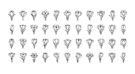 Collection of intricate floral skull designs in a striking silhouette style