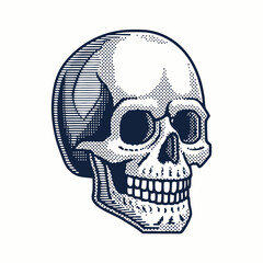 Featuring Create Bold Stroke Pixel Skull Backg Beautiful Professional Photo