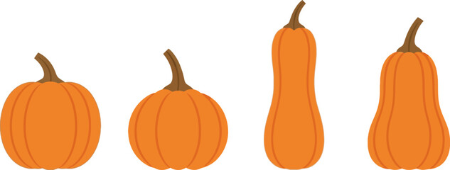 Four orange gourds and pumpkins arranged in a row for autumn harvest display vector