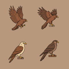 Fototapeta premium Birds Four avian poses