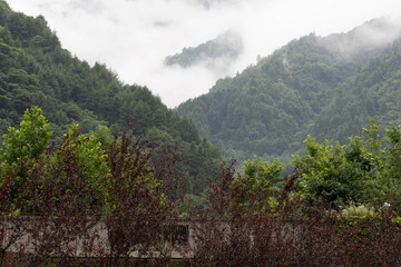 Autumn concept , Misty Mountain Landscape