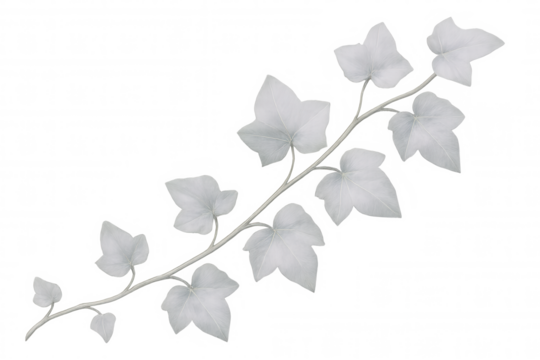 White ivy branch isolated on transparent background, perfect for adding a touch of nature to any project - Powered by Adobe