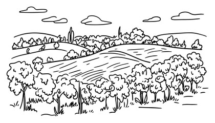 Fototapeta premium Rolling Countryside Landscape with Vineyards and Hills – Hand‑Drawn Black and White Vector Sketch Illustration of Rural Scenic Nature