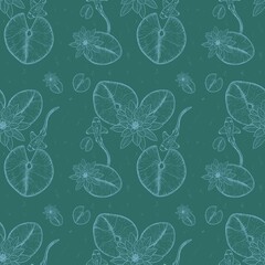 seamless pattern of water lily flowers and leaves with fish in black outline on a green background