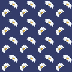 Seamless pattern of daisies on a blue background
