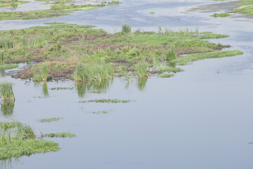Clear lake water with grass islands and ripples in tranquil wetland landscape