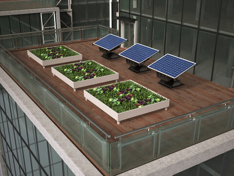 Rooftop vegetable garden and solar panels symbolize urban sustainability