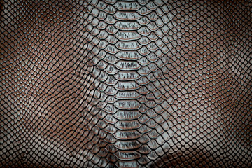 Brown snake skin texture pattern can see the surface details.