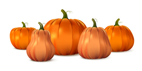 Pumpkin collection in assorted shapes and sizes. Glossy orange vegetables with green stems on white background. Autumn harvest, Thanksgiving, Halloween theme. Realistic vector illustration.