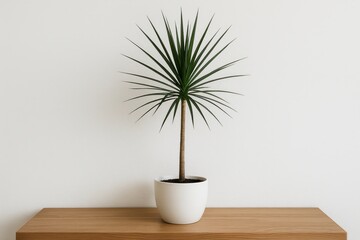 Fototapeta premium Indoor Plant on Display: A single, vibrant dracaena plant flourishes in a pristine white pot, elegantly perched on a wooden surface against a minimalist background, signifying peace and serenity.
