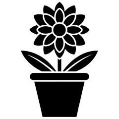flower in pot