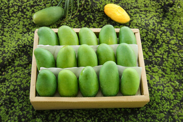 Fresh Green Mangoes in Wooden Crate on Natural Moss Background - Tropical Fruit Display