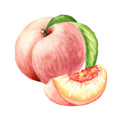 Ripe sweet Peaches. Hand drawn watercolor illustration,   isolated on white background