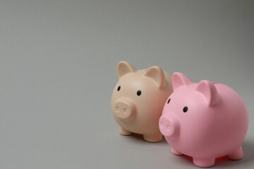 piggy bank, money dollars euros on a gray background
