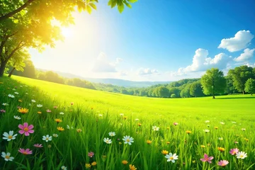 Foto auf Acrylglas Grün Golden sunlight bathes a vibrant green field, wildflowers dotting the landscape under a clear blue sky  Perfect for themes of nature, summer, and tranquility ,  picturesque,  outdoor  © Treesa